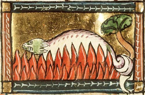 A salamander unharmed in the fire, 1350 AD  – Author Numerisation par Koninklijke Bibliotheek – Public Domain Image